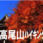 【紅葉の季節だよ】高尾山にみんなで登ろう！！～ハイキング部主催～